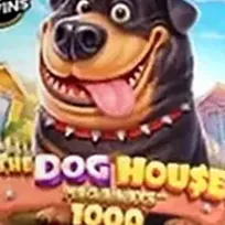 Игровой слот The Dog House 1000 от Pragmatic Play