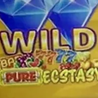 Аппарат Wild Pure Ecstasy — Pateplay